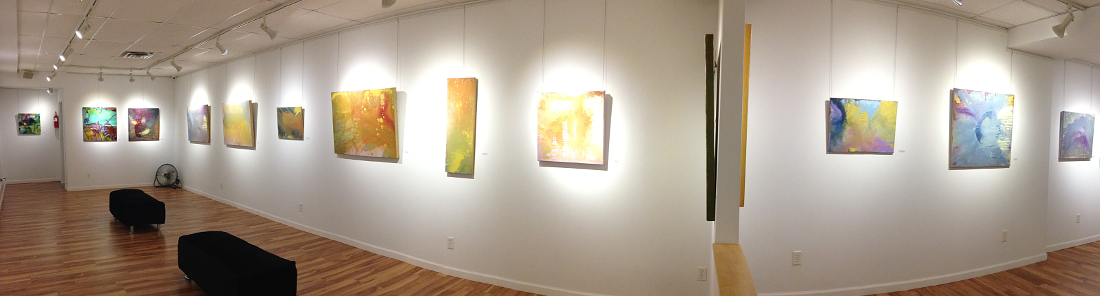 Charlotte's Paintings on display in a gallery